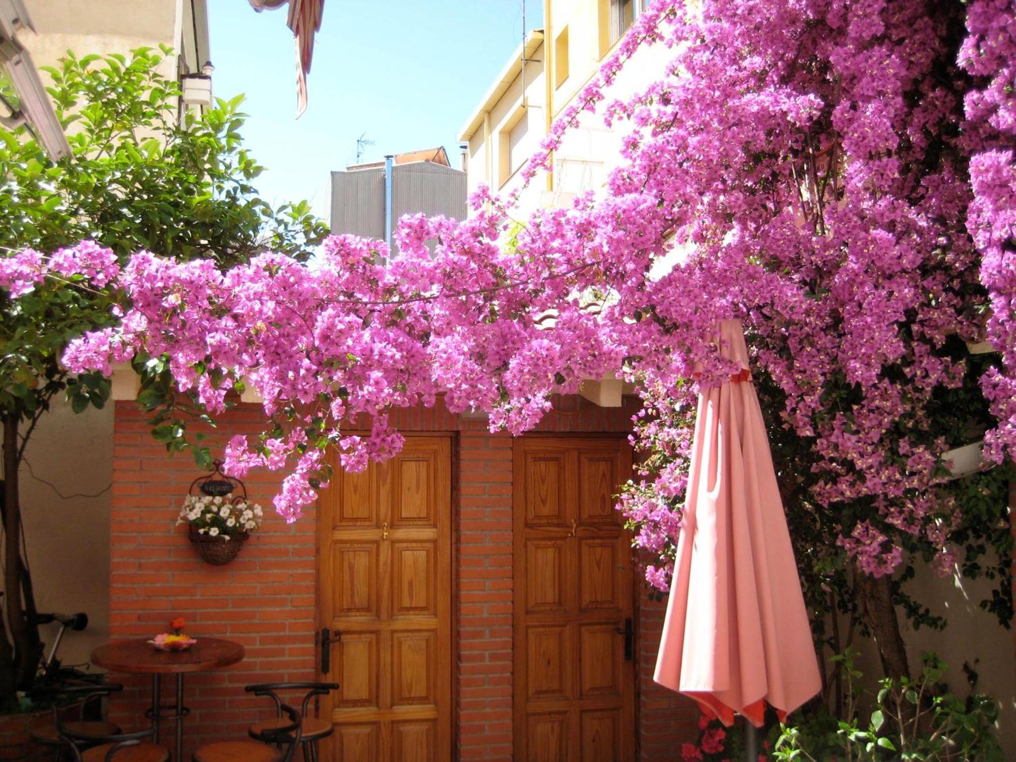Pension Casa Austria Calella Eksteriør billede